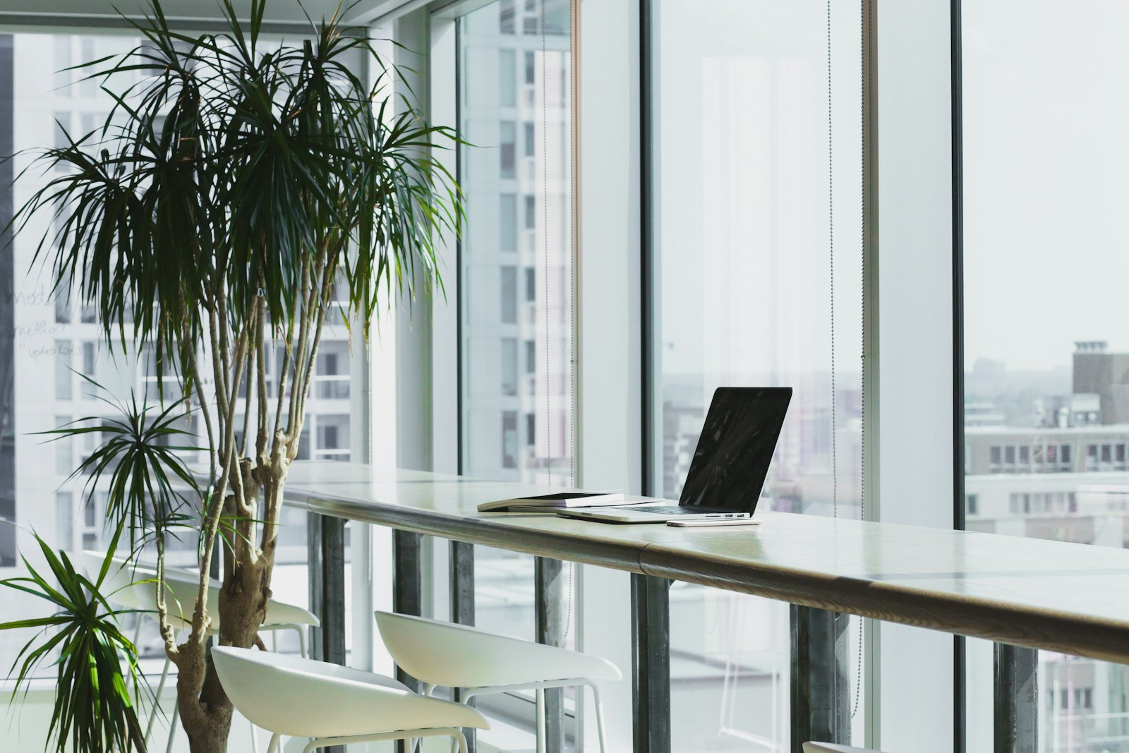 A laptop closed on a desk beside a window and a large potted plant.