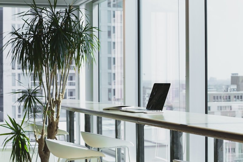 A laptop closed on a desk beside a window and a large potted plant.